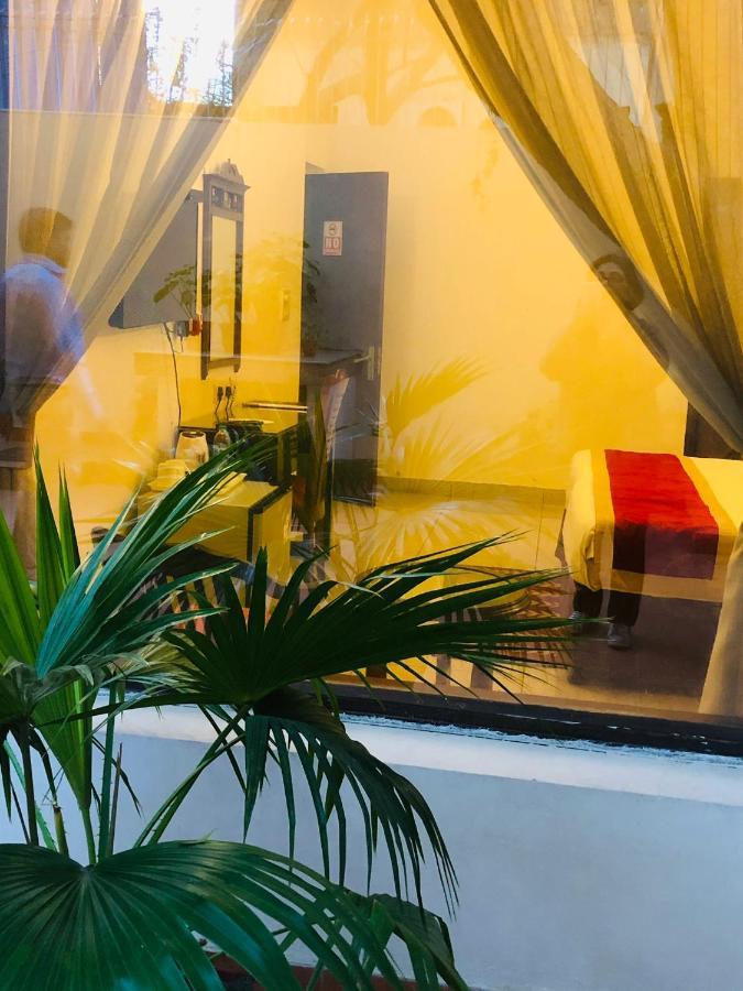 The Neem Bed & Breakfast Ню Делхи Екстериор снимка